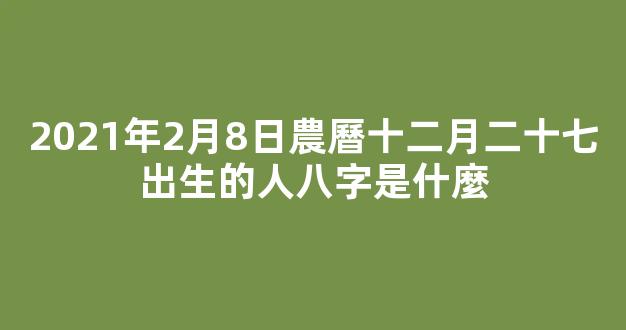 2021年2月8日農曆十二月二十七出生的人八字是什麼