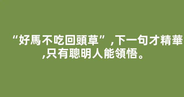 “好馬不吃回頭草”,下一句才精華,只有聰明人能領悟。