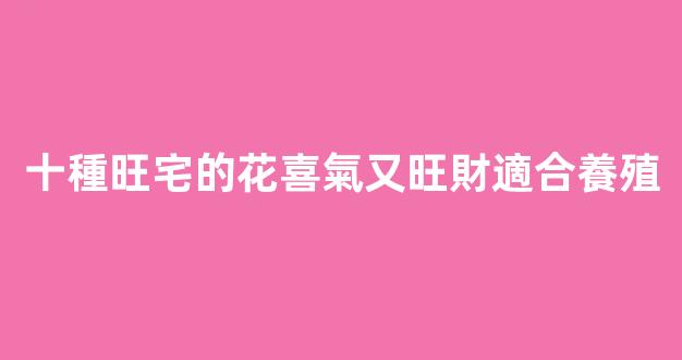十種旺宅的花喜氣又旺財適合養殖