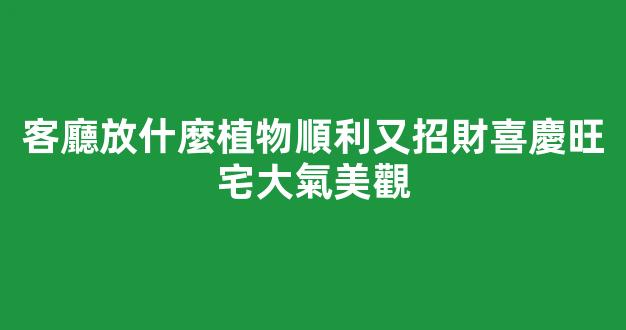 客廳放什麼植物順利又招財喜慶旺宅大氣美觀