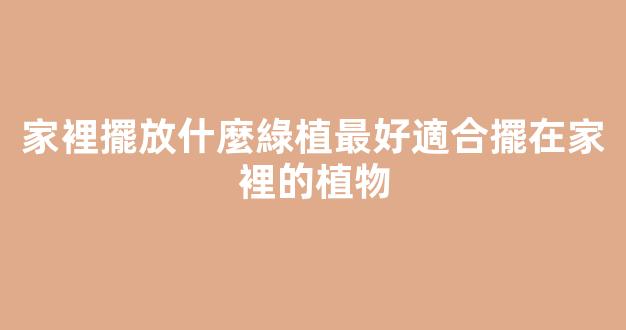家裡擺放什麼綠植最好適合擺在家裡的植物