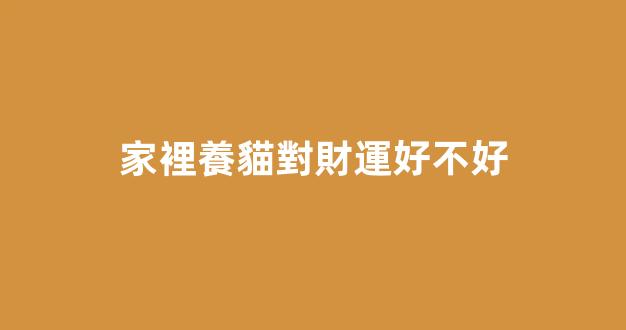 家裡養貓對財運好不好