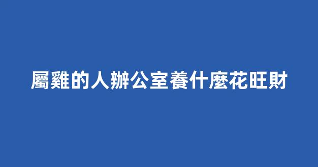 屬雞的人辦公室養什麼花旺財