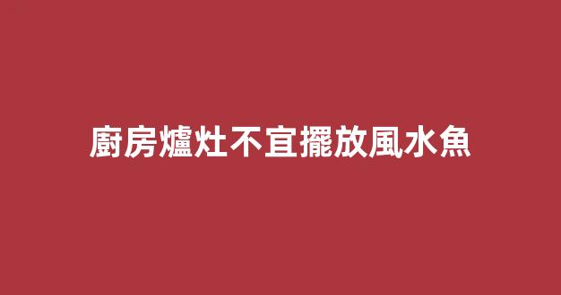 廚房爐灶不宜擺放風水魚