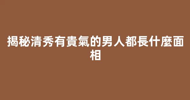揭秘清秀有貴氣的男人都長什麼面相
