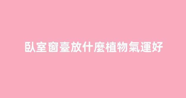 臥室窗臺放什麼植物氣運好