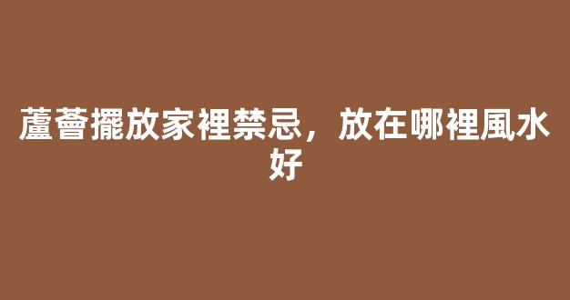 蘆薈擺放家裡禁忌，放在哪裡風水好