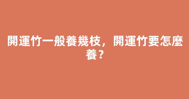 開運竹一般養幾枝，開運竹要怎麼養？