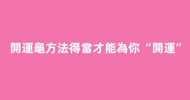 開運龜方法得當才能為你“開運”