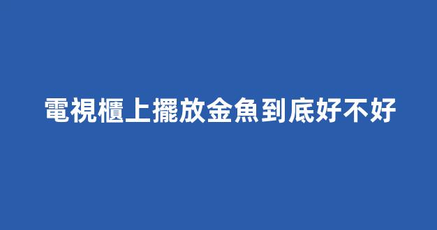 電視櫃上擺放金魚到底好不好