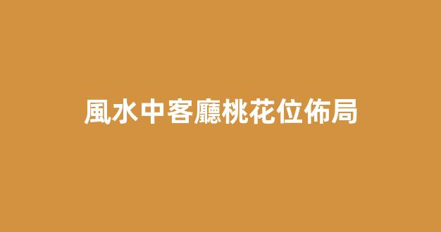 風水中客廳桃花位佈局