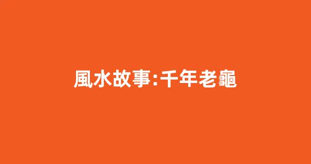 風水故事:千年老龜