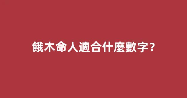餓木命人適合什麼數字？