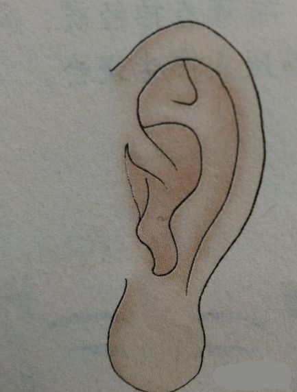面相分析耳朵大的人有福气,容易长寿是真的吗