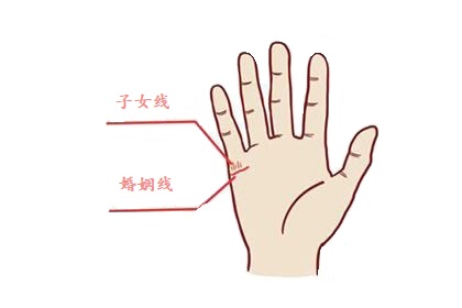 手相,子女线