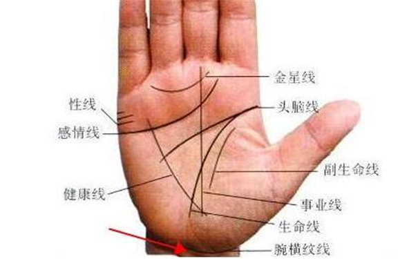 出軌的手相