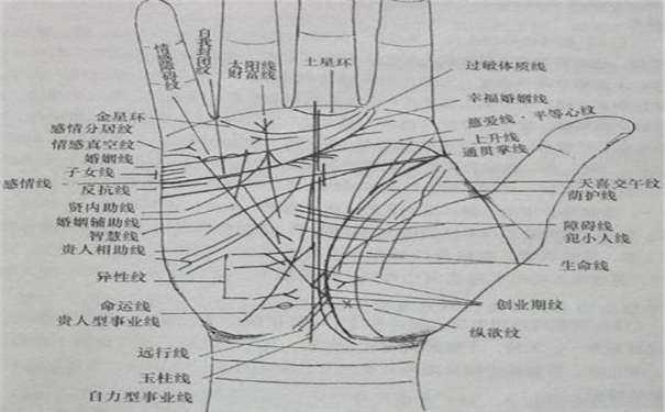 手紋多