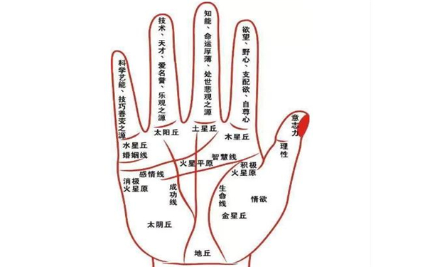 嫁不出的手相