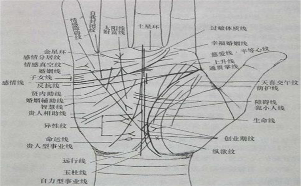 手相五大线分析，一起来了解一下