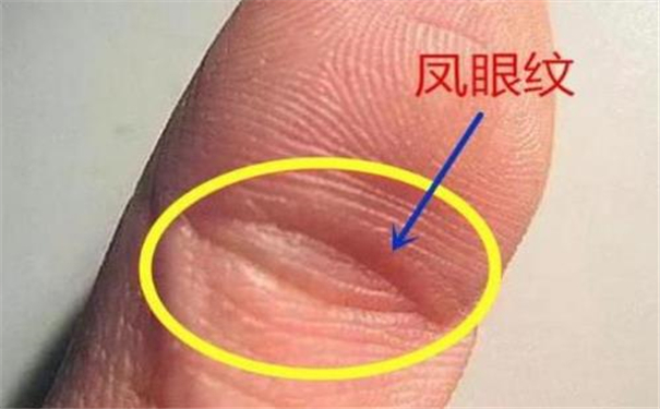 凤眼纹