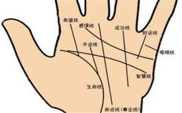 容易離婚的手相