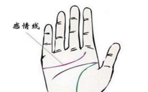 三條主掌紋