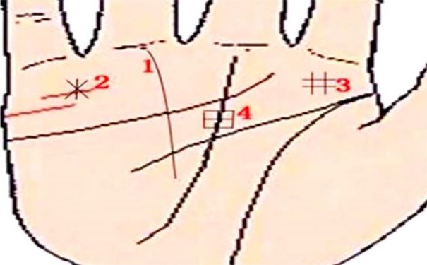 米紋手相