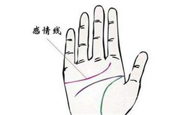 教你看手相
