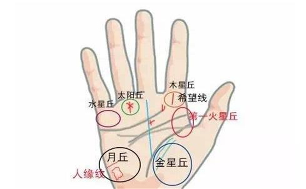 手紋查病