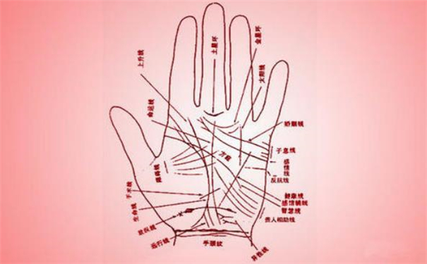 掌紋診斷腎囊腫