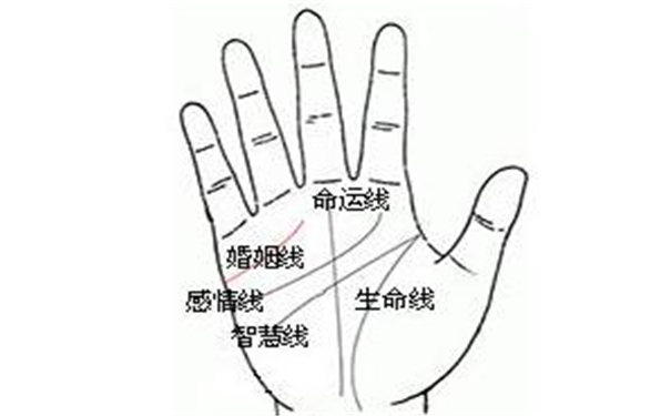 命运线短
