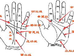 婚姻幸不幸福？可以从手相看婚姻中知道