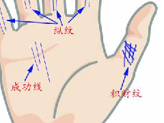 拥有这样手相的人他们特别会聚财