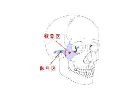 颧骨是什么命相？他们的运势好吗？