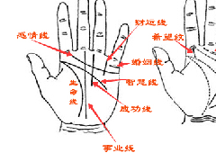 手相看姻缘 拥有以下五种手相的人桃花运很旺盛