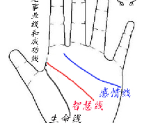 成功线看你一生中拥有什么样的运势？