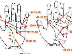 手相图解大全中什么样的手相是一个合相格呢？