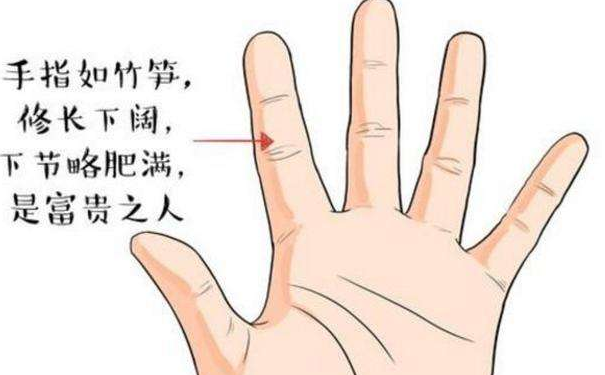 手相图解大全中每个手指的指节都有什么样的含