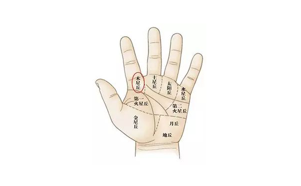 手相图解大全中的九丘都有什么含义呢？你知道