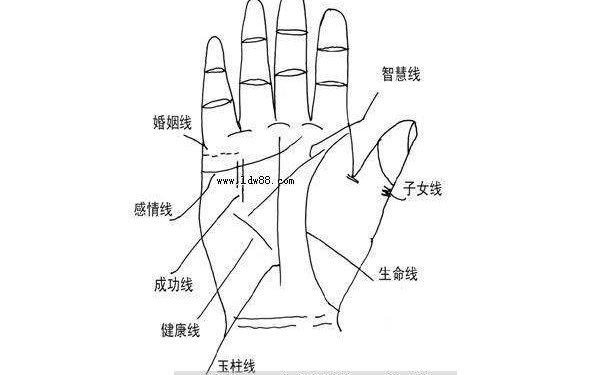 如何看掌纹呢？掌纹对我们命运运势会有什么影