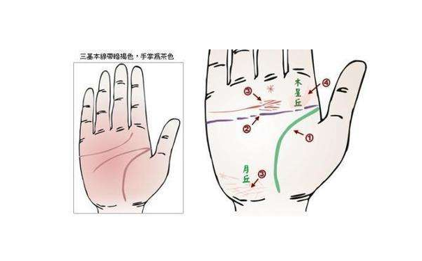 五分钟教你看懂财运线 什么样的财运线是最好的