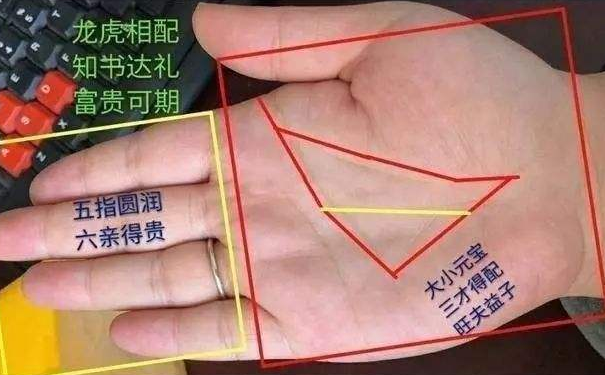 事业线、生命线、感情线在手相图解大全中有什