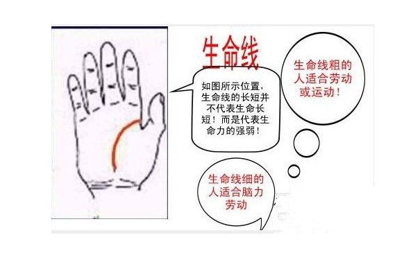 手掌纹路图解中关于生命线的解析