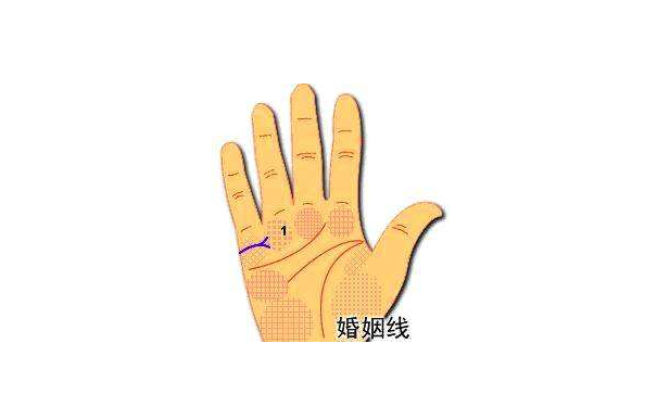 史上比较罕见的手掌纹路图解