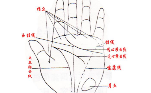 只要拥有财运线那么财运就会很好吗？