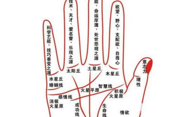 手相图解大全有以下5中手相的人很容易被甩