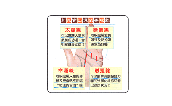 手掌纹路图解以下手纹的人必定事业有成