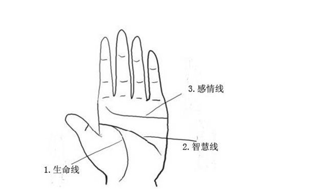 拥有什么样财运线的人财运会很好？最好的财运