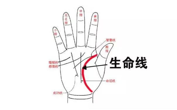 看手相经验，手掌纹路图解生命线全解