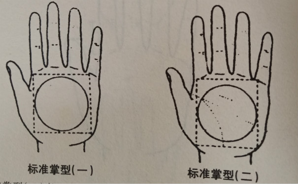 手掌算命百科，通过手掌比例算命，手掌比例的